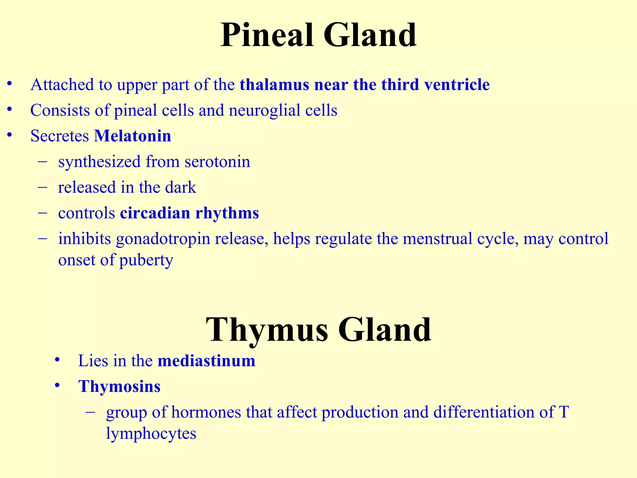 Pineal Gland Attached to upper part of the  thalamus   near the third ventricle Consists of pineal cells and neuroglial cells Secretes  Melatonin synthesized from serotonin released in the dark controls  circadian rhythms inhibits gonadotropin release, helps regulate the menstrual cycle, may control onset of puberty Thymus Gland Lies in the  mediastinum Thymosins group of hormones that affect production and differentiation of T lymphocytes 