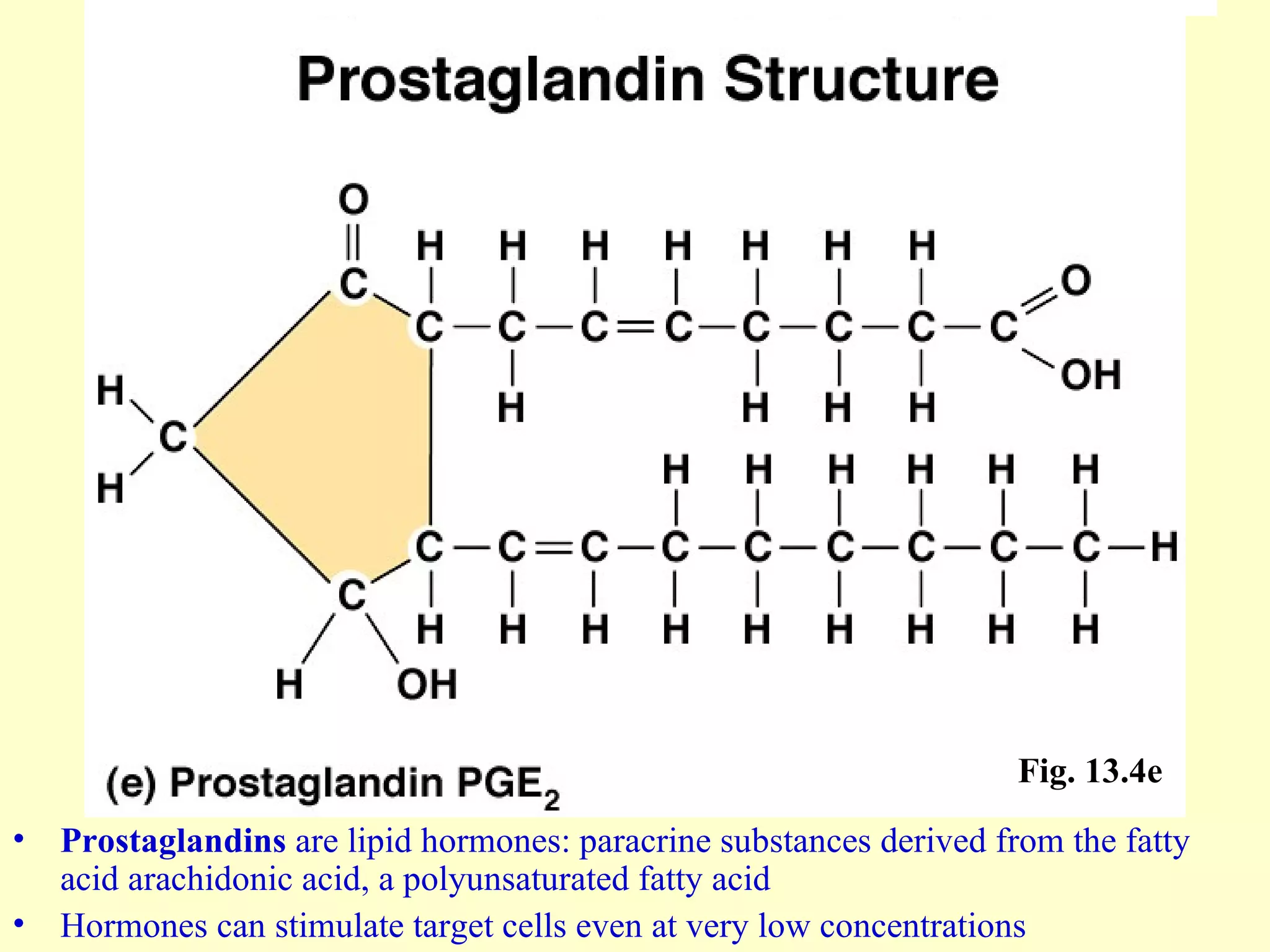 Prostaglandins  are lipid hormones: paracrine substances derived from the fatty acid arachidonic acid, a polyunsaturated fatty acid Hormones can stimulate target cells even at very low concentrations Fig. 13.4e 