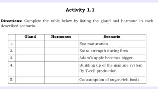 THE-ENDOCRINE-SYSTEM and their functions