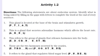 THE-ENDOCRINE-SYSTEM and their functions