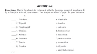 THE-ENDOCRINE-SYSTEM and their functions