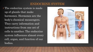 ENDOCRINE SYSTEM
• The endocrine system is made
up of glands that make
hormones. Hormones are the
body's chemical messengers.
They carry information and
instructions from one set of
cells to another. The endocrine
system influences almost every
cell, organ, and function of our
bodies.
 