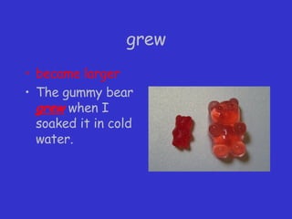 grew became larger The gummy bear  grew  when I soaked it in cold water. 