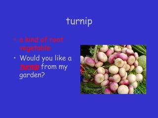 turnip a kind of root vegetable Would you like a  turnip  from my garden? 