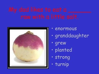 My dad likes to eat a ______ raw with a little salt. enormous granddaughter grew planted strong turnip 
