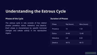 Understanding the Estrous Cycle
Phases of the Cycle
The estrous cycle in rats consists of four distinct
phases: proestrus, estrus, metestrus, and diestrus.
Each phase is characterized by specific hormonal
changes and cellular activity in the reproductive
organs.
Duration of Phases
Phase Rat (hours) Mice (hours)
Proestrus 14 < 24
Estrus 24-48 12-48
Metestrus 6-8 8-24
Diestrus 48-72 48-72
 