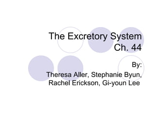 The Excretory System Ch. 44 By: Theresa Aller, Stephanie Byun, Rachel Erickson, Gi-youn Lee  