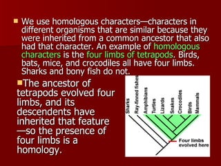 The Family Tree | PPT