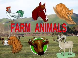 FARM  ANIMALS 