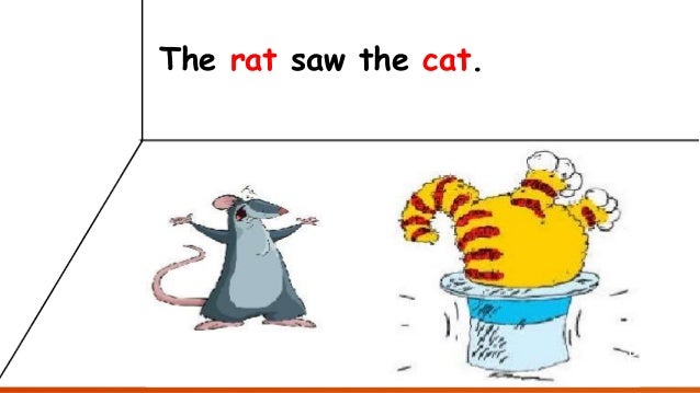 The Fat Cat Story The Fat Cat Story