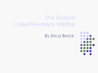 The Sleeper Lake/Newberry Wildfire By Erica Brock. 