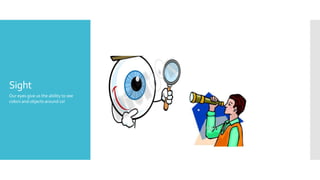 Sight
Our eyes give us the ability to see
colors and objects around us!