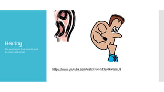 Hearing
Our ears help us hear sounds, such
as voices, and songs!
https://www.youtube.com/watch?v=HMXoHKwWmU8