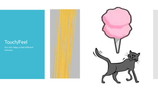 Touch/Feel
Our skin helps us feel different
textures.