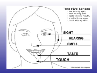 SIGHT
HEARING
SMELL
TASTE
TOUCH
 