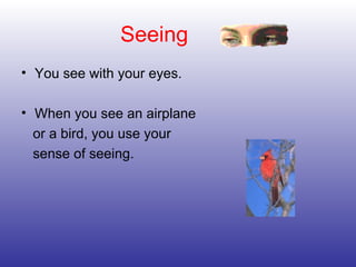 Seeing
• You see with your eyes.
• When you see an airplane
or a bird, you use your
sense of seeing.
 