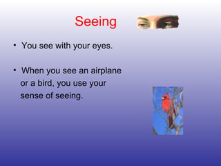 Seeing <ul><li>You see with your eyes. </li></ul><ul><li>When you see an airplane </li></ul><ul><li>or a bird, you use you...