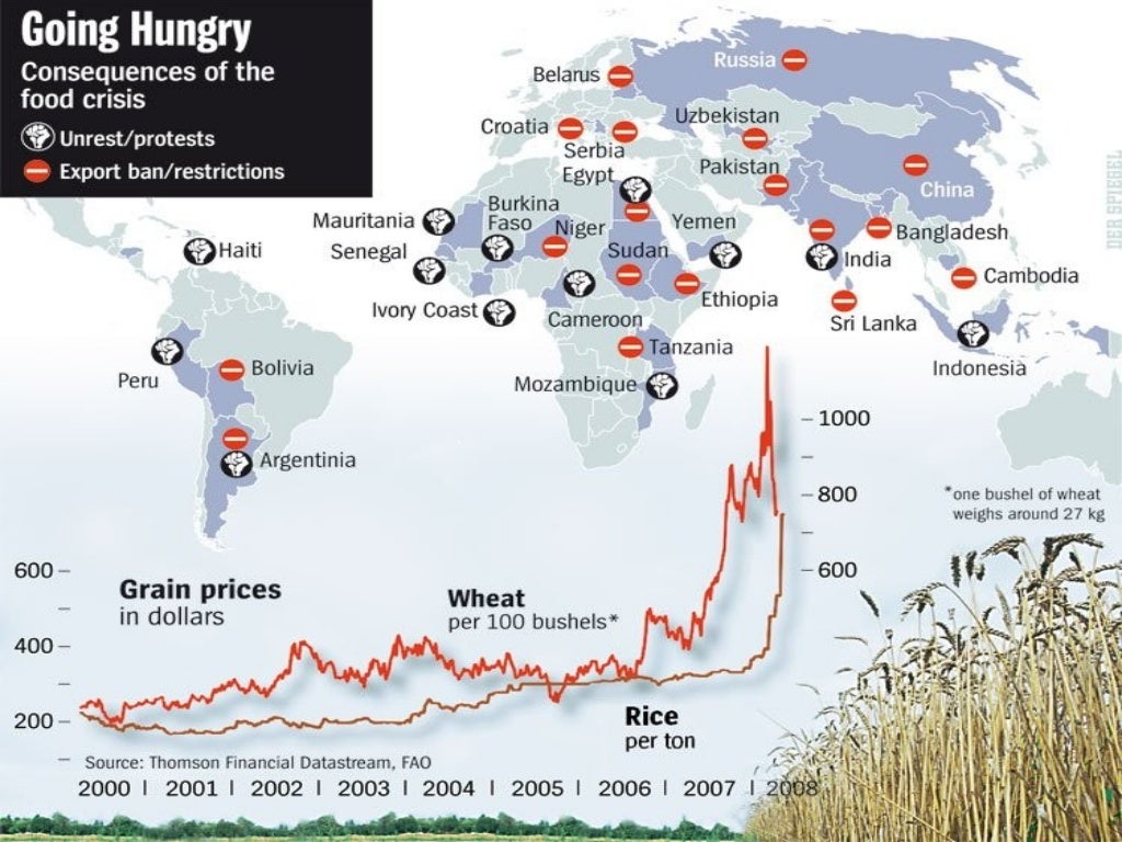 The Global Food Crisis