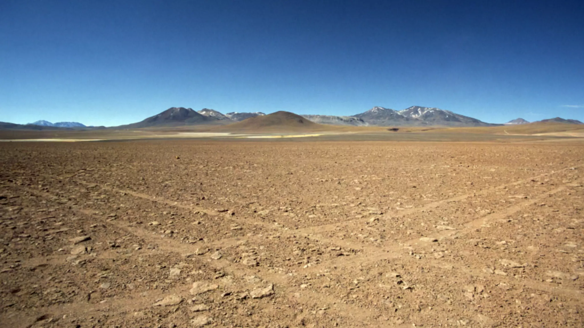 The future of advertising