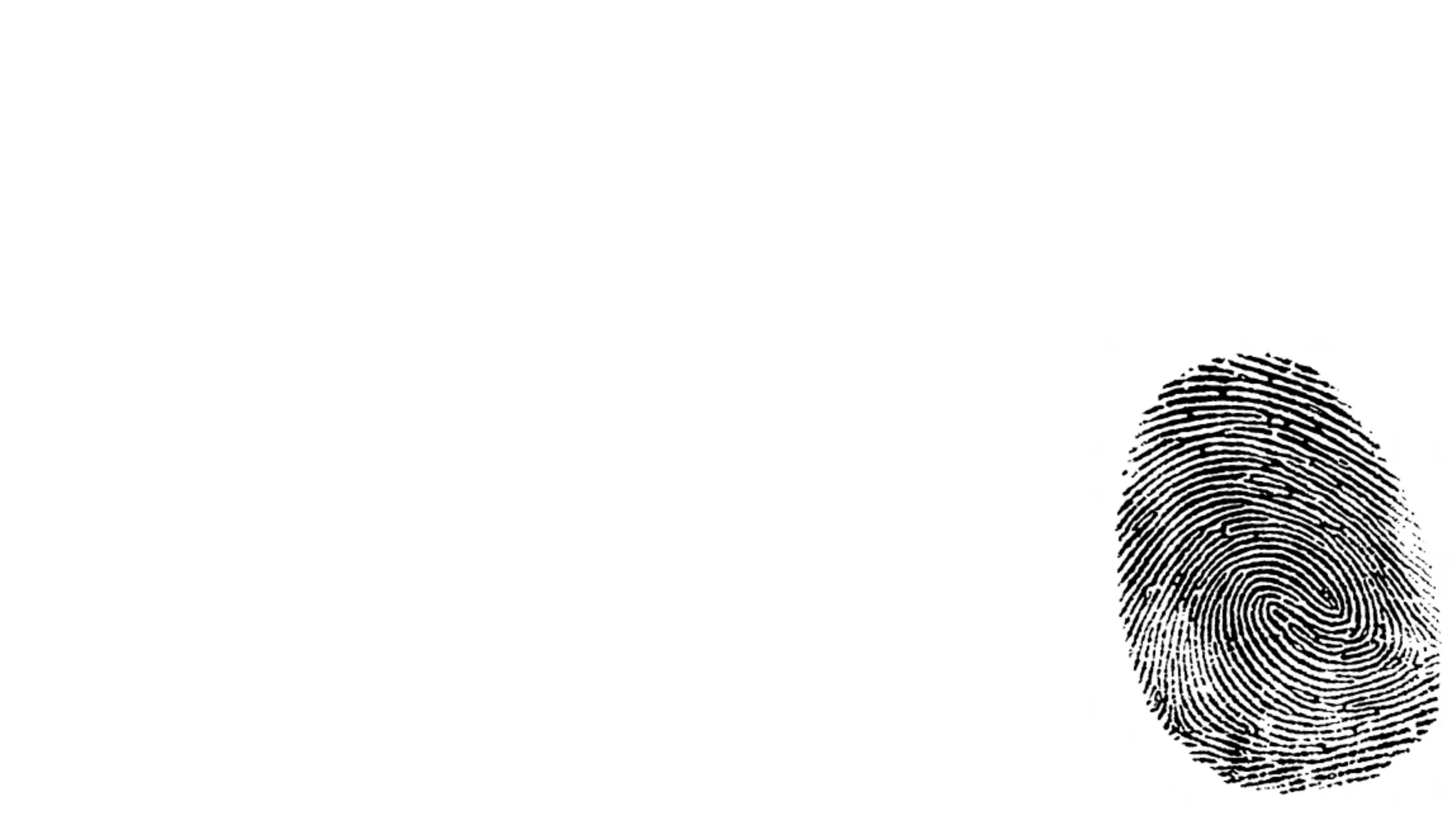 The future of advertising