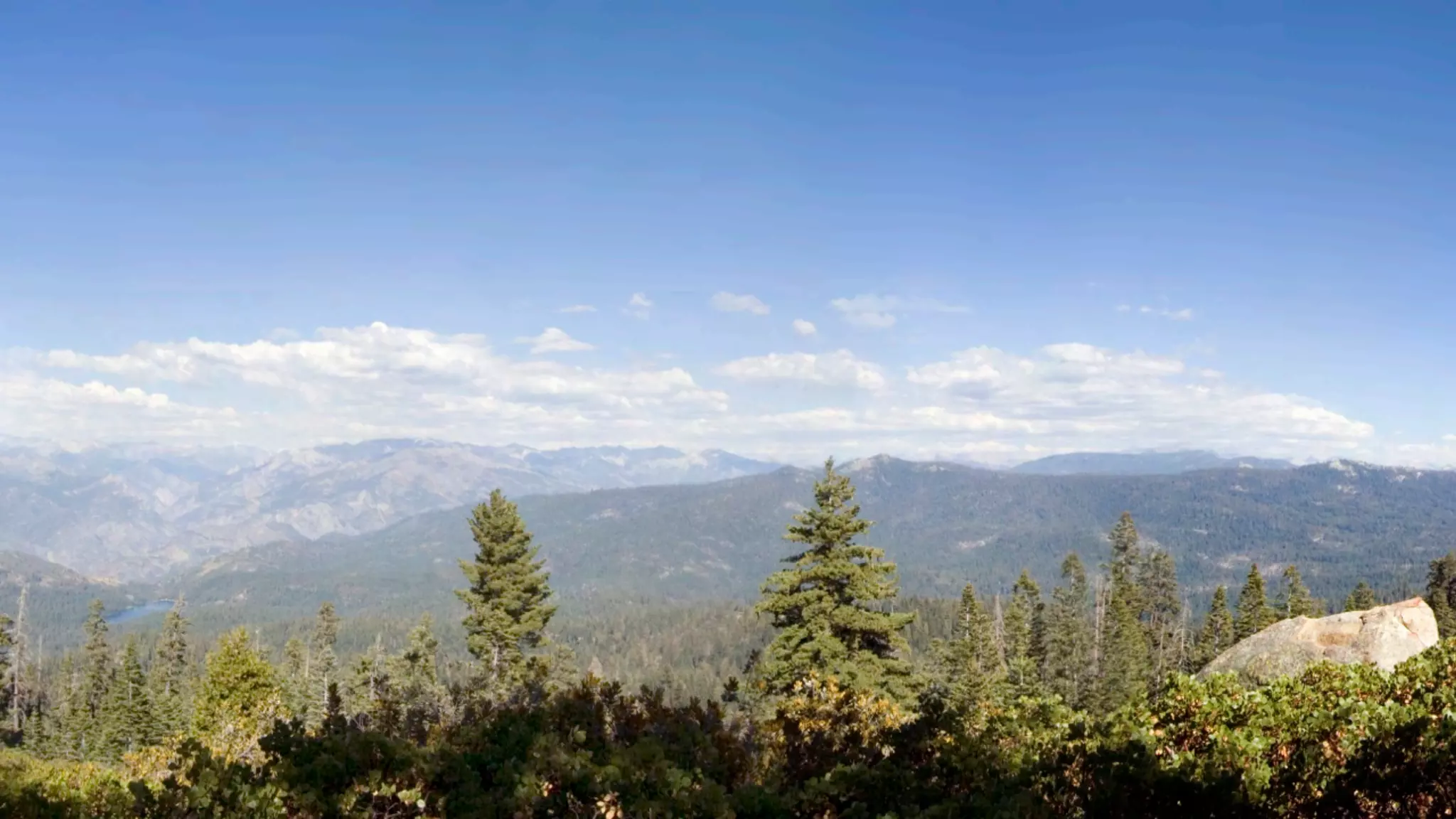 The future of advertising