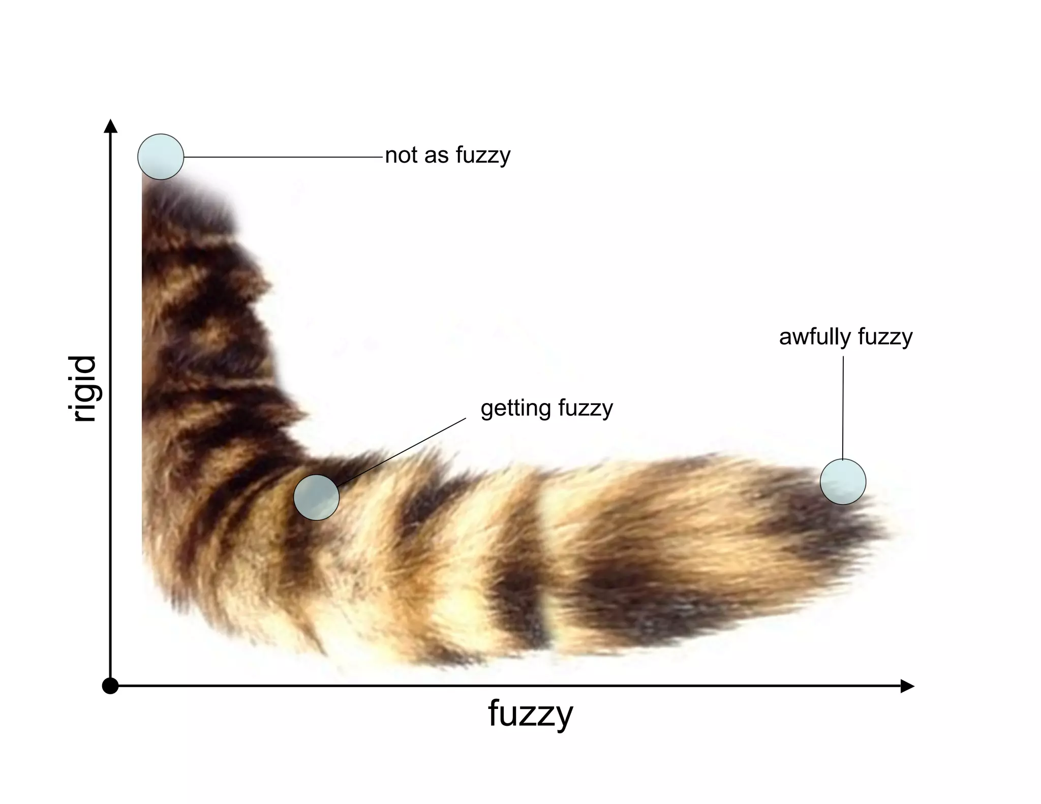 The Fuzzy Tail