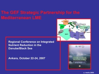 The GEF Strategic Partnership for the
Mediterranean LME
a. merla 2005
Regional Conference on Integrated
Nutrient Reduction in the
Danube/Black Sea
Ankara, October 22-24, 2007
 