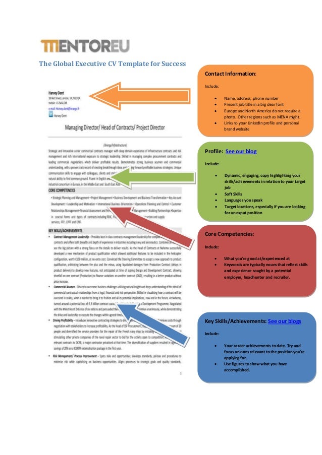 the global executive cv template for career success