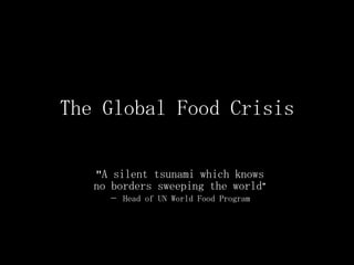 The Global Food Crisis &quot;A silent tsunami which knows no borders sweeping the world” -  Head of UN World Food Program 
