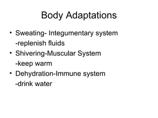 Body Adaptations Sweating- Integumentary system -replenish fluids Shivering-Muscular System -keep warm Dehydration-Immune system -drink water 