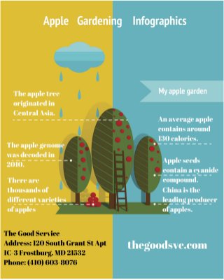 Apple Gardening Infographic
