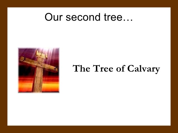 The Gospel of 3 Trees