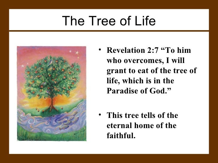 The Gospel of 3 Trees