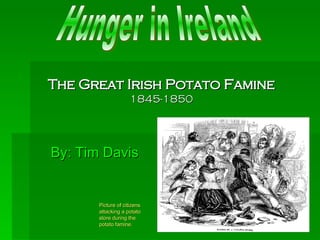 The Great Irish Potato Famine 1845-1850 By: Tim Davis Hunger in Ireland Picture of citizens attacking a potato store during the potato famine. 