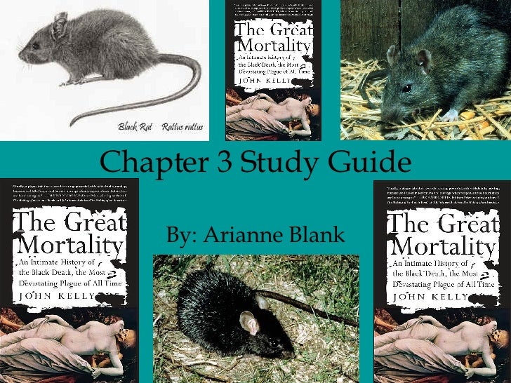 chapter 3 and 4 study guide Chapter summary for cormac mccarthy's no country for old men, chapter 3 summary find a summary of this and each chapter of no country for old men no country for old men | study guide cormac mccarthy study guide documents. chapter 3 and 4 study guide Chapter summary for cormac mccarthy's no country for old men, chapter 3 summary find a summary of this and each chapter of no country for old men no country for old men | study guide cormac mccarthy study guide documents.