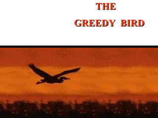 THE GREEDY  BIRD 