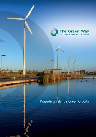 Propelling Ireland’s Green Growth
 