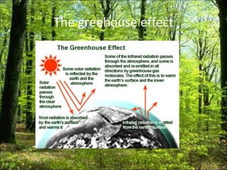 The greehouse effect 