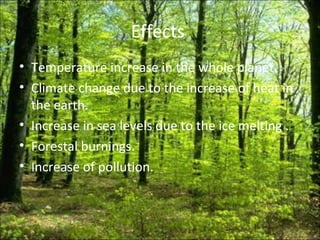 Effects  Temperature increase in the whole planet. Climate change due to the increase of heat in the earth. Increase in sea levels due to the ice melting . Forestal burnings. Increase of pollution. 