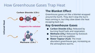 Understanding the Greenhouse Effect: Human Impact on Climate Change and ...