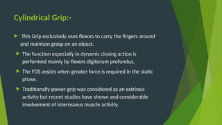 THE-HAND-COMPLEX BIOMECHANICS. Presentation | PPTX