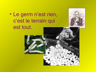• Le germ n’est rien,
c’est le terrain qui
est tout.
 