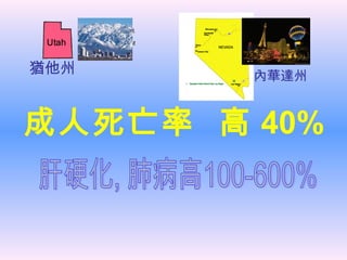 猶他州 內華達州
成人死亡率 高 40%
 