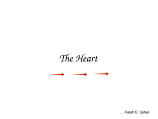 The Heart 
… Farah El Soheil
 