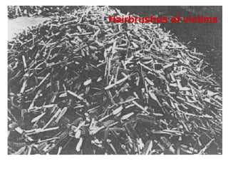 Hairbrushes of victims 