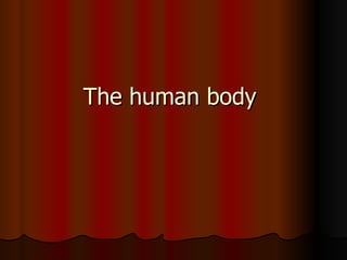 The human body  