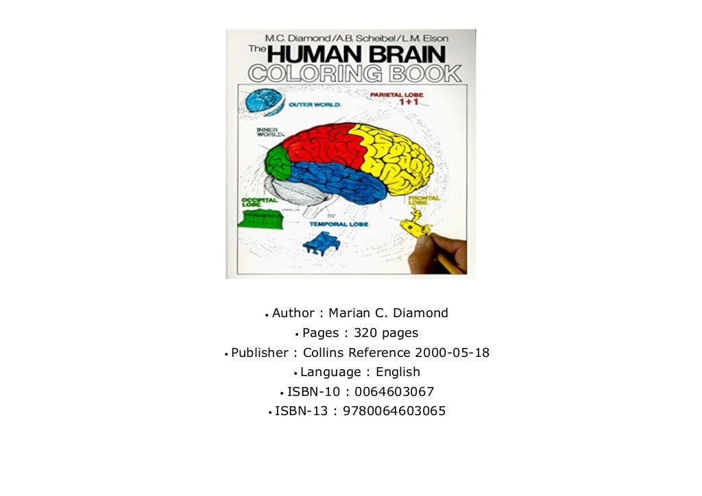 The Human Brain Coloring Book (Coloring Concepts) TOP RATED#4