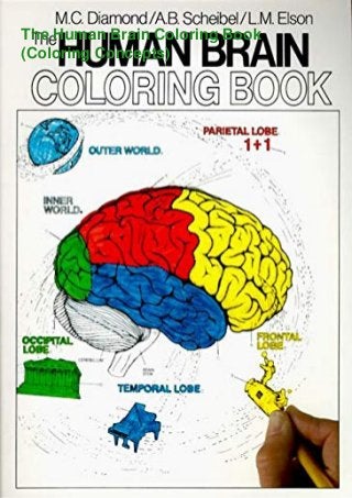 The Human Brain Coloring Book
(Coloring Concepts)
 