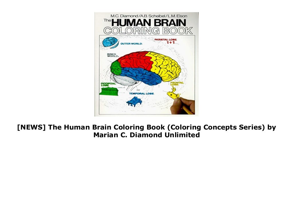 [NEWS] The Human Brain Coloring Book (Coloring Concepts Series) by M…