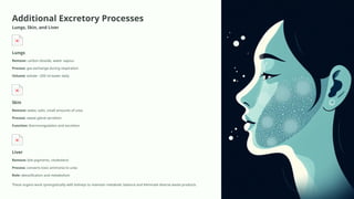 Additional Excretory Processes
Lungs, Skin, and Liver
Lungs
Remove: carbon dioxide, water vapour
Process: gas exchange during respiration
Volume: exhale ~200 ml water daily
Skin
Remove: water, salts, small amounts of urea
Process: sweat gland secretion
Function: thermoregulation and excretion
Liver
Remove: bile pigments, cholesterol
Process: converts toxic ammonia to urea
Role: detoxification and metabolism
These organs work synergistically with kidneys to maintain metabolic balance and eliminate diverse waste products
 